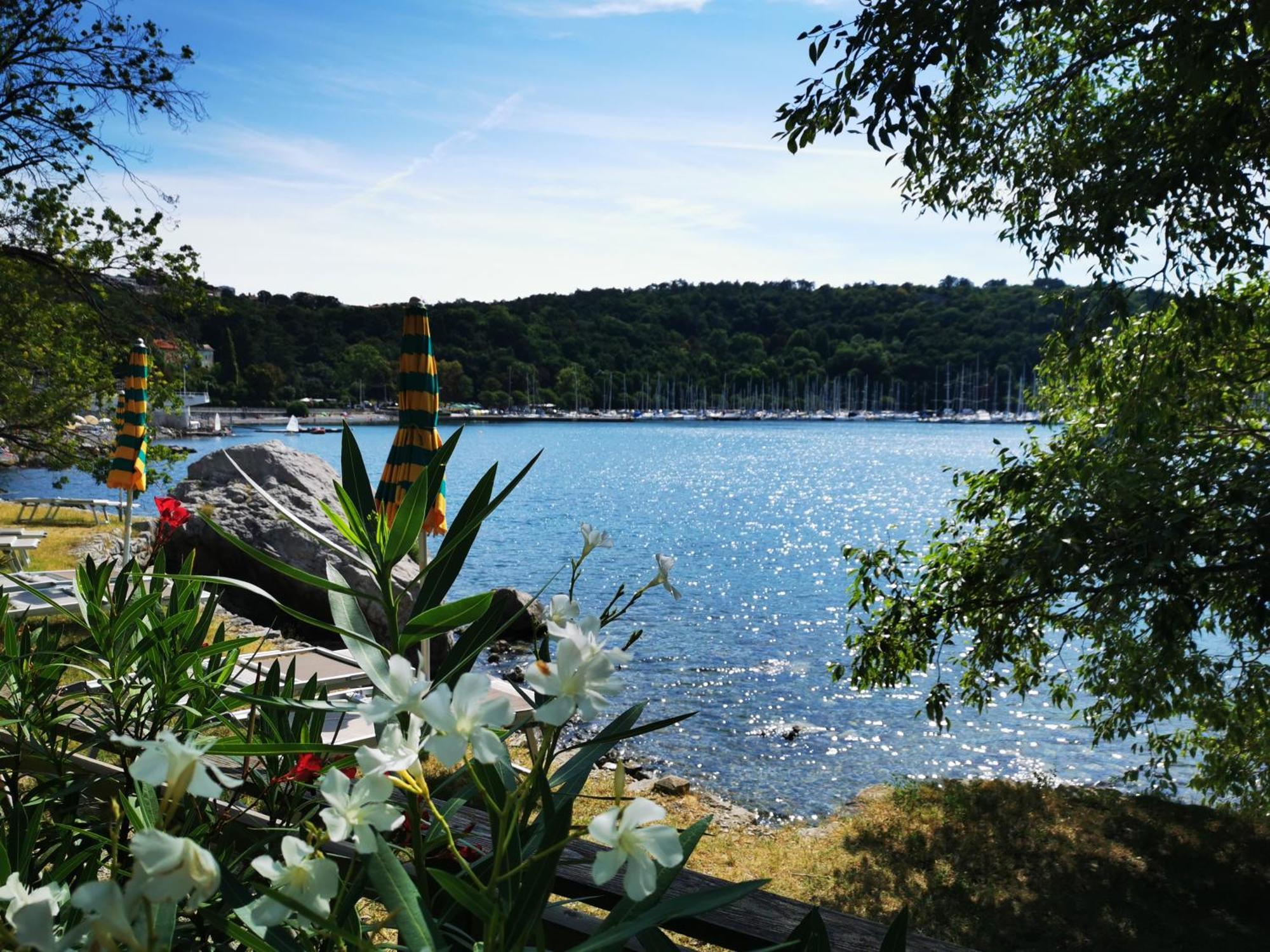Krasen Kras 104 Resort Komen Eksteriør bilde
